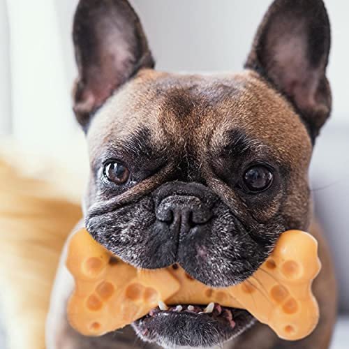 Nylabone DuraChew Cheese Bone Cheese Medium/Wolf (1 Count) - Image 9