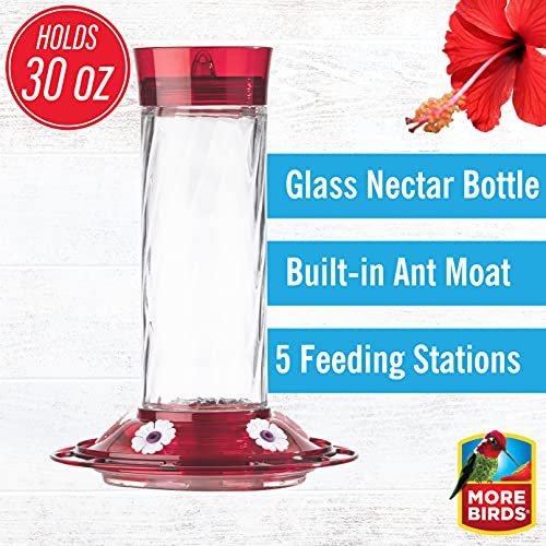 More Birds Bird Health + Diamond Hummingbird Feeder - Image 6