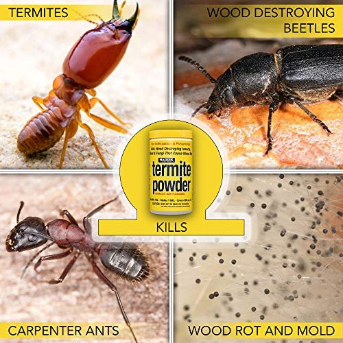 HARRIS Termite and Carpenter Ant Treatment and Mold Killer, 16oz - Image 3