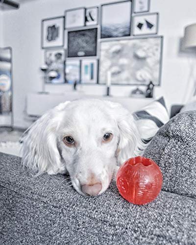 SPOT Play Strong Medium Ball 3.25” For Dogs - Image 4