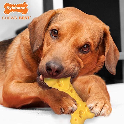 Nylabone DuraChew Cheese Bone Cheese Medium/Wolf (1 Count) - Image 4