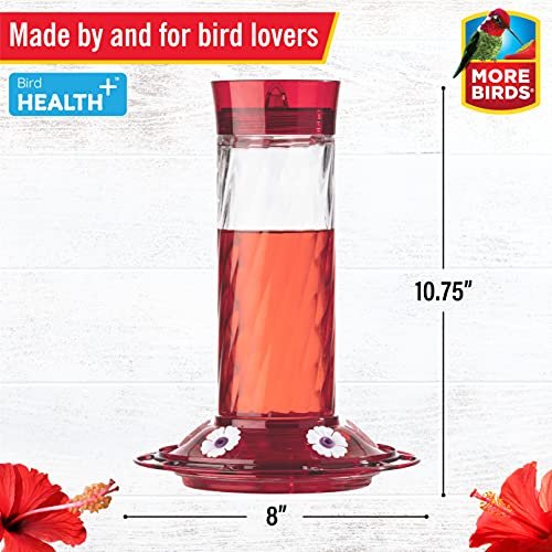 More Birds Bird Health + Diamond Hummingbird Feeder - Image 4